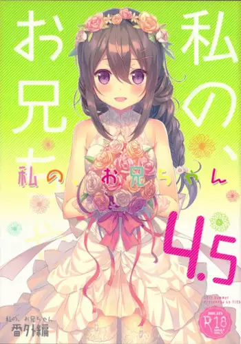 (C92) [TIES (Takei Ooki)] Watashi no, Onii-chan 4.5 Bangaihen [Chinese] [嗶咔嗶咔漢化組]