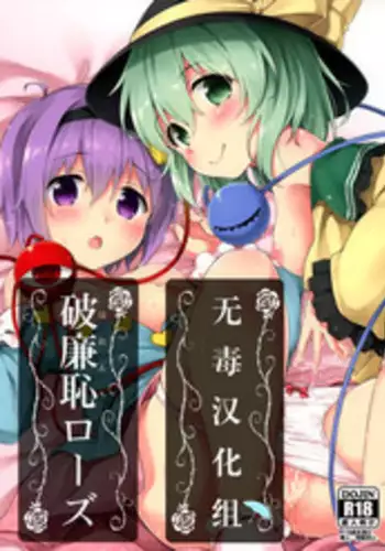 (C81) [Takoyaki-batake (Takoyaki)] Kowasareta Omamori (Touhou Project)