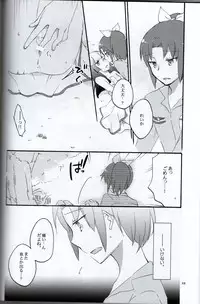(C82) [Niratama (Sekihara, Hiroto)] Teikakazura no Hana to Hototogisu (Smile Precure!)
