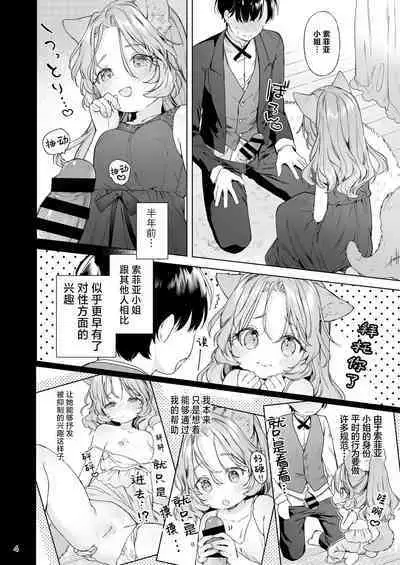 Isekai Otona no Omochaya-san 2 | 异世界成人玩具店的店主先生2
