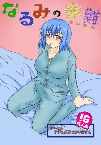 Narumi no Sainan