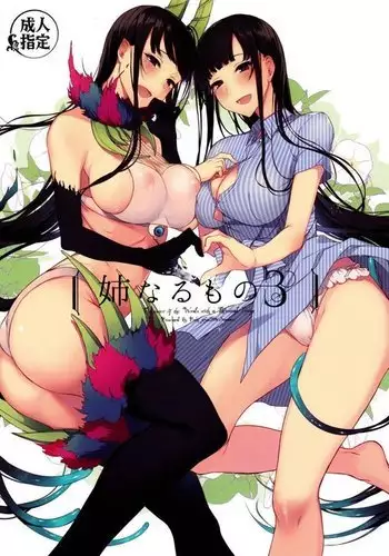 Ane Naru Mono 3