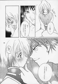 [Sakurara & Cherry (Sakura Mitsuru)] Pink Snow memoria (Hunter x Hunter)