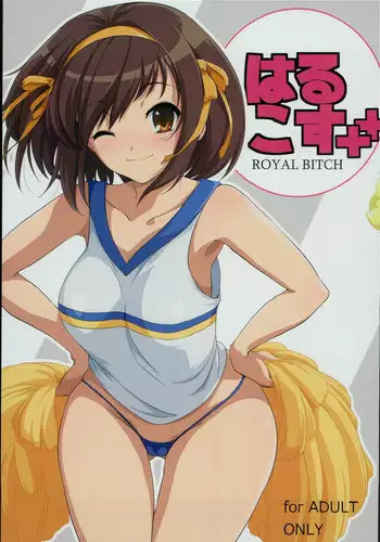 [Royal Bitch (Haruhisky)] Haruhi Lingerie Collection 01 (Suzumiya Haruhi no Yuuutsu) [Decensored]