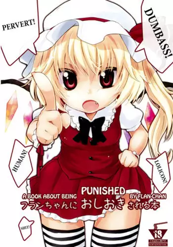 (C80) [MeltdoWN COmet (Yukiu Con)] Flan no Kuse ni Namaikida. (Touhou Project)