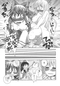 (C75) [Sekai Chizu wa Chi no Ato (jude)] Phlox X Crocus (Touhou Project)