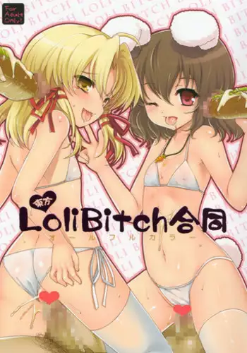 28 Kaiten Majime Bitch no Shiyou Hou.