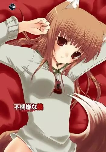 Fukigen na Ookami