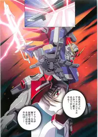 (C70)[Hen Rei Kai (Kawarajima Kou)] SEED ANOTHER CENTURY D.E. 2 (Gundam SEED Destiny)