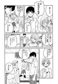 [Armadillo] Neko no Yurikago