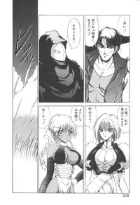 [Fujisaki Makoto] Dark Wirbel Konran-hen