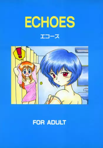 (C50) [BLACK DOG (Kuroinu Juu)] Echoes (Neon Genesis Evangelion) [Chinese] [Colorized] [Incomplete]