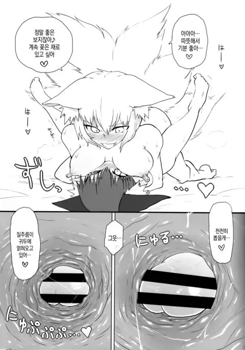 KitsuNeko. | 여우냥이.