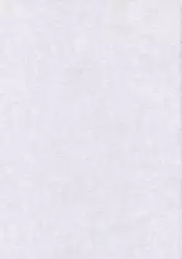 (Reitaisai 7) [Kaya no Sato (Karasawa Yonjuu)] Miko-san no Kichouna Sanran Shiin (Touhou Project)