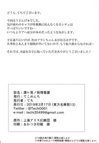 (Meikasai 13) [Tekomenchi (Techi)] Nure Usagi no Hatsujou Kango (Touhou Project)