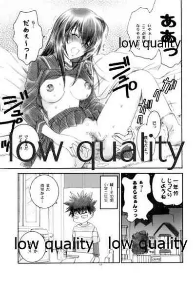 (C74) [Yamaguchirou (Yamaguchi Shinji)] Zoku Kuusou Ken x Kaoru Gendai (Rurouni Kenshin)