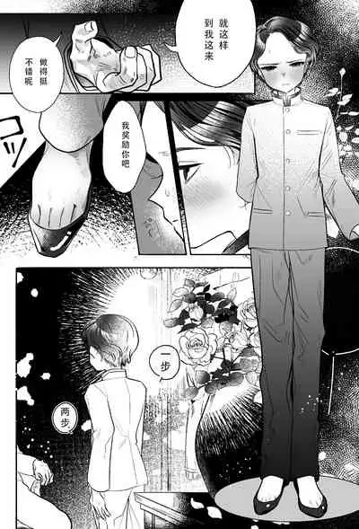 [Tama Launcher (Tama no Chichi)] Oji-sama no Oyome-kun [Chinese] [不可视汉化]