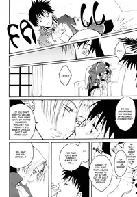 (C69) [FMD, Osova (chizuwa, karin)] Ryoushu Kukule to Eight Ouji | Lord Angelo and Prince Hero (Dragon Quest VIII) [English] [Boxer & Rice]