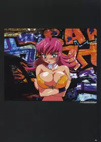 VIPER Series Official Artbook IV