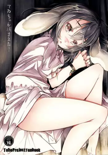 (Kouroumu 12) [Shirokurousa (Sugiyuu)] Nuresuke Tewi-chan to Tooriame no Jouji | 和湿透了的帝酱在一起梅雨天的情事 (Touhou Project) [Chinese] [Kanade汉化组]