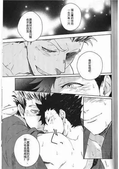 Re:BKR 3