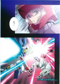 (C70)[Hen Rei Kai (Kawarajima Kou)] SEED ANOTHER CENTURY D.E. 2 (Gundam SEED Destiny)