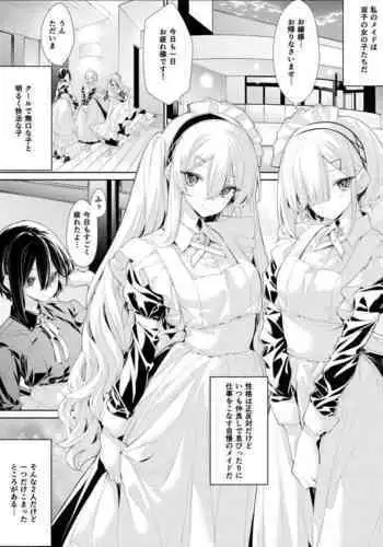 소녀전선 웰로드
