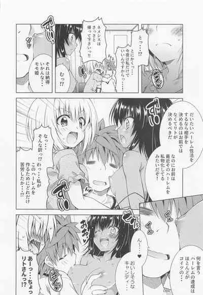Rito-san no Harem Seikatsu Soushuuhen 2