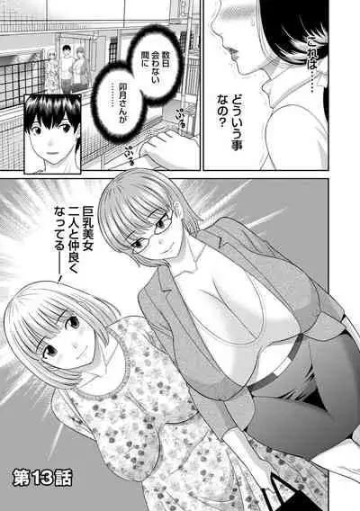 Innyu Shufu no Futei Ganbou