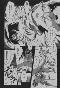 COMIC Hime Dorobou 2007-12