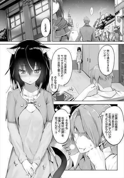 [Kyougoku Touya] Orokamono wa Nekomimi Dorei ni Izon suru ~Hajimete no Choukyou Seikatsu~ 01-18