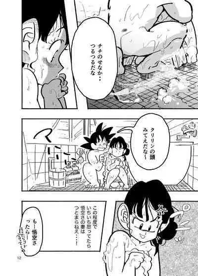 Dragon Ball Fanbook GokuxChihci