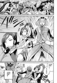 (C93) [Quick kick Lee (Yoshimura Tatsumaki)] Hime-sama no Sakusei Skill (Dragon Quest XI) [Chinese] [瓜皮汉化]