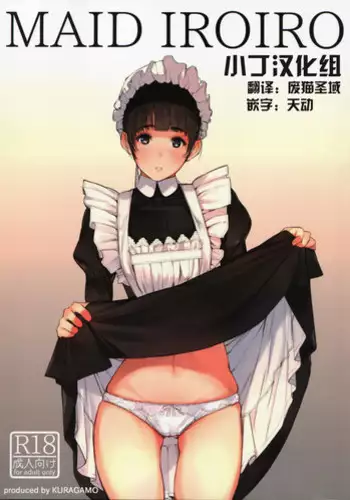 (C89) [Kuragamo (Tukinowagamo)] MAID IROIRO [English]