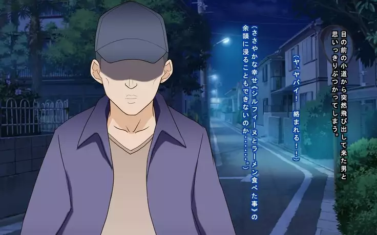 Seigi no Heroine Tatakai no Kiroku