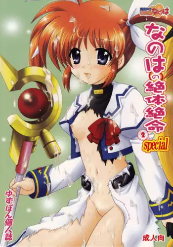 (C77) [Aruma Therapy (Arumaji Nebukuro)] Ecchi na Nanoha-San ha Sukidesuka? (Mahou Shoujo Lyrical Nanoha)