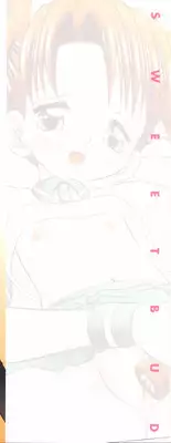 [Tomohara Michiya] Amai Tsubomi