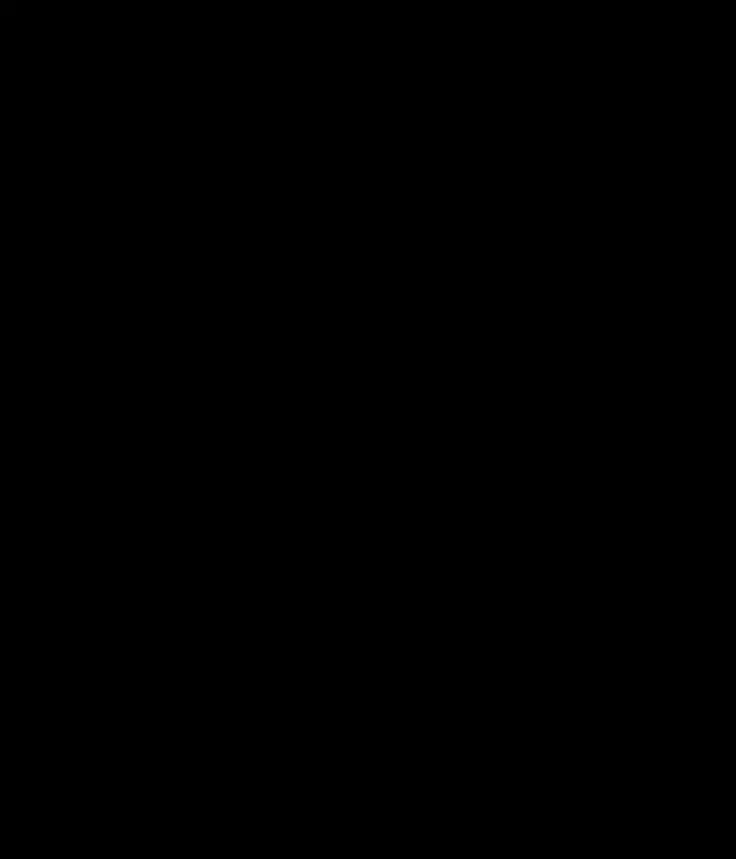 琪亚娜（次元飞机杯）
