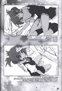 Sakura no Uta -Sakura no Mori no Ue wo Mau- official artbook
