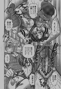 COMIC Hime Dorobou 2007-12