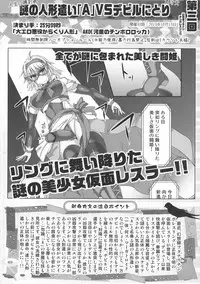 (Reitaisai 14) [Stapspats (Various)] GENSOUKYO FUTANARI CHINPO WRESTLING 5th Anniversary Memorial Book (Touhou Project)