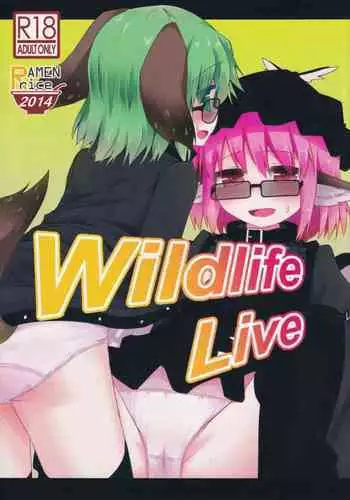 オフパコクエストJK篇