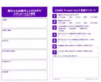 COMIC P-mate Vol.02