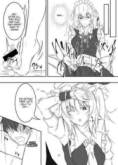 Koumakan de Daiji na Tokoro o Kerareru Hon | A book about getting kicked in important parts at the Scarlet Devil Mansion