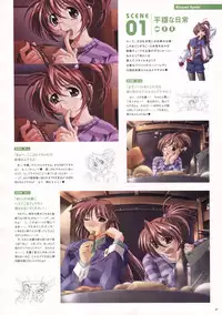 Natural 2 Duo Visual Fan Book