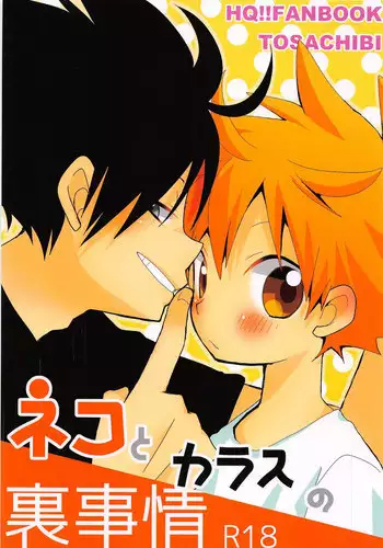 [headache] サンシャイン (Haikyu!!)