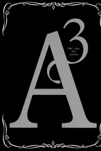 A3