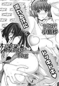 COMIC Megamilk 2010-10 Vol. 04