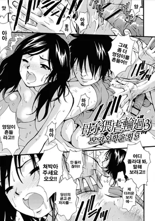 Boshi Waigyaku Rinkai | 모자외학윤회