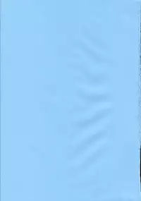 (C65) [GUST (Harukaze Soyogu)] SISTER HEAVYBLADE -2- (.hack//Tasogare No Udewa Densetsu [.hack//Legend of the Twilight])